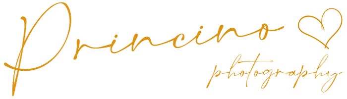 Princino photo heart logo